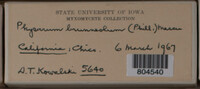 Image Associated With the Occurence
